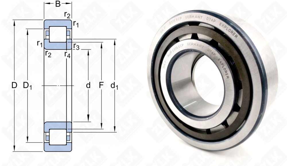 92615 (NUP2315ECP) SKF