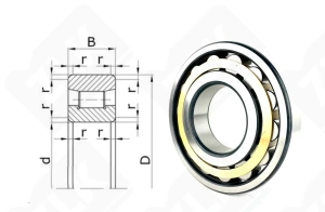 Подшипник 2322Л (N322ECM) радиальный роликовый 110-240-50 мм