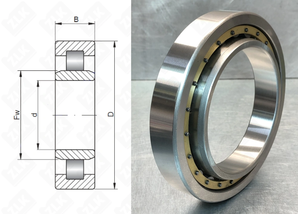 32106 Л (NU1006M) Россия