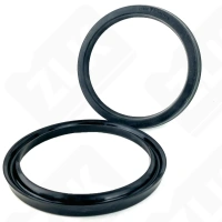 Манжета 170*200 h-15 ТУ 38-1051725-86