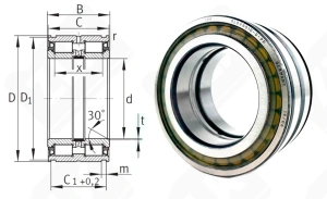 Подшипник SL045010 D PP радиальный роликовый 50-80-40 мм