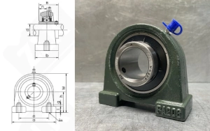 Подшипниковый узел 480206UCPA (UCPA206)