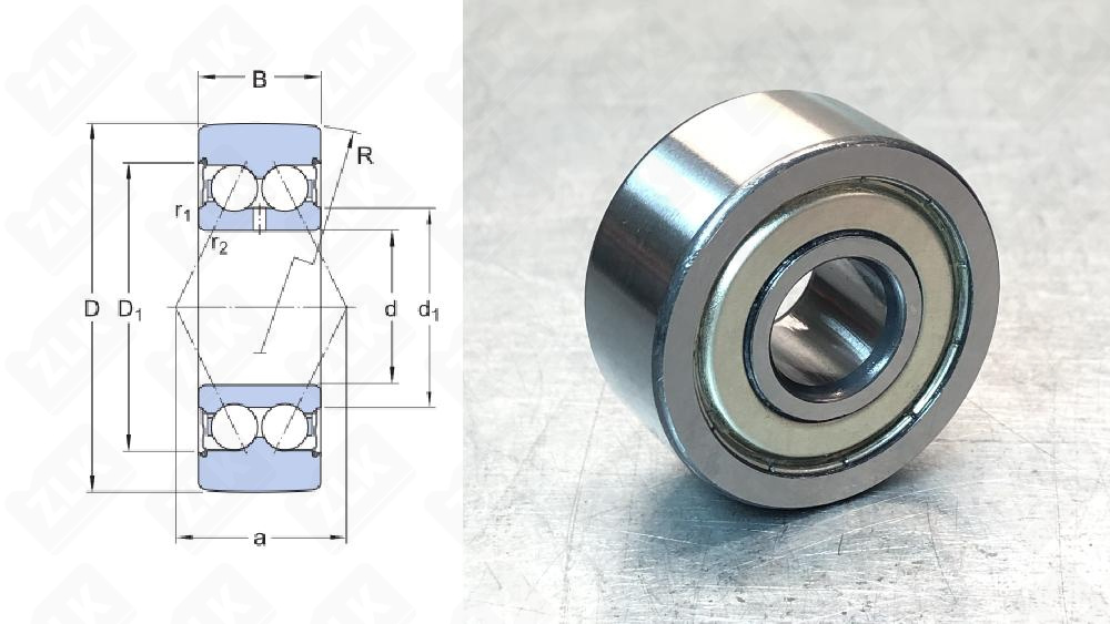 305801C2Z (LR5201) SKF