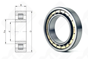 Подшипник 32111 Л (6) (NU1011)  радиальный роликовый 55-90-18 мм