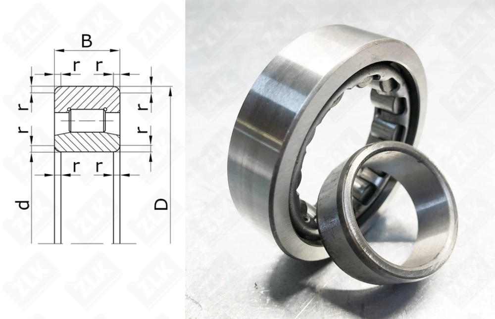 32206 (NU206) Россия