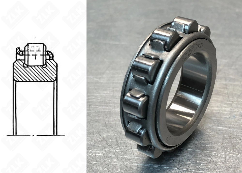 502207 (RN207) ГПЗ