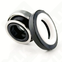 Сальники насосов БНЦ,китайских насосов,20мм (в комплекте сальник мех+керам.часть)
