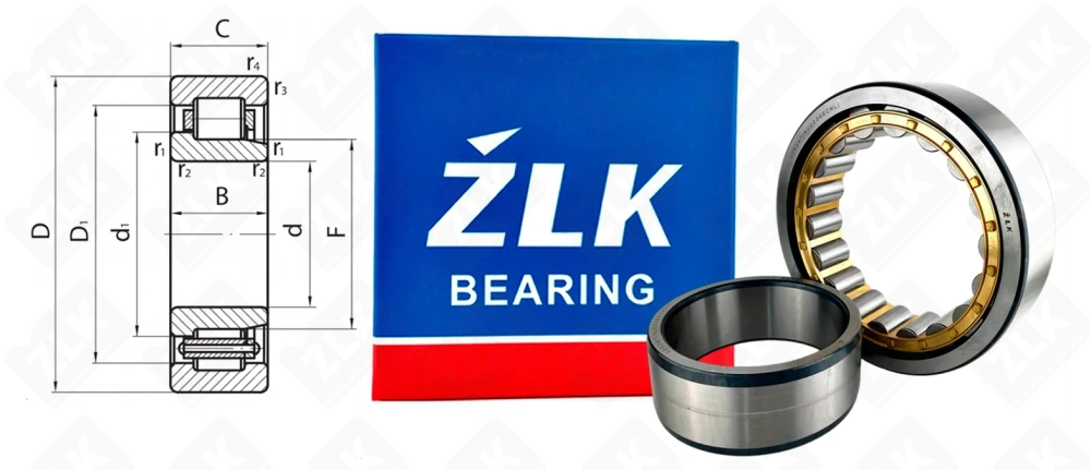 32536 Л (20) (NU2236ECMAC3) ZLK