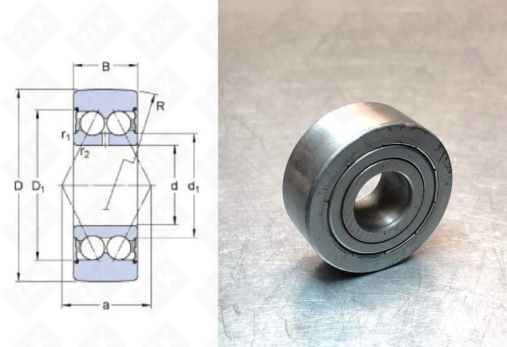 305804C2Z (LR5204) SKF