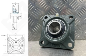 Подшипниковый узел 480206UCF (UCF206D1)