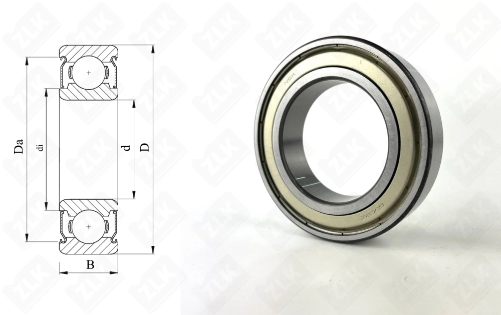 80109 (70) (6009ZZC3) NSK 