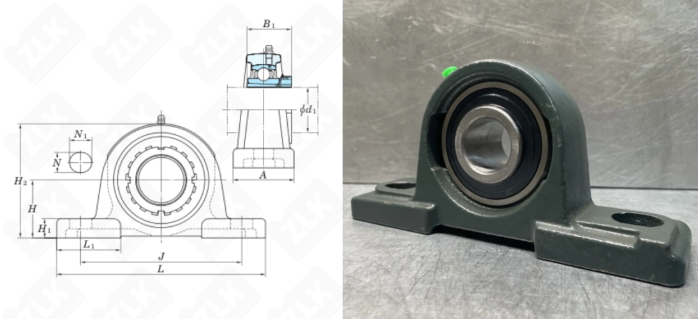 480211UKP (UKP211) NTN (D1)