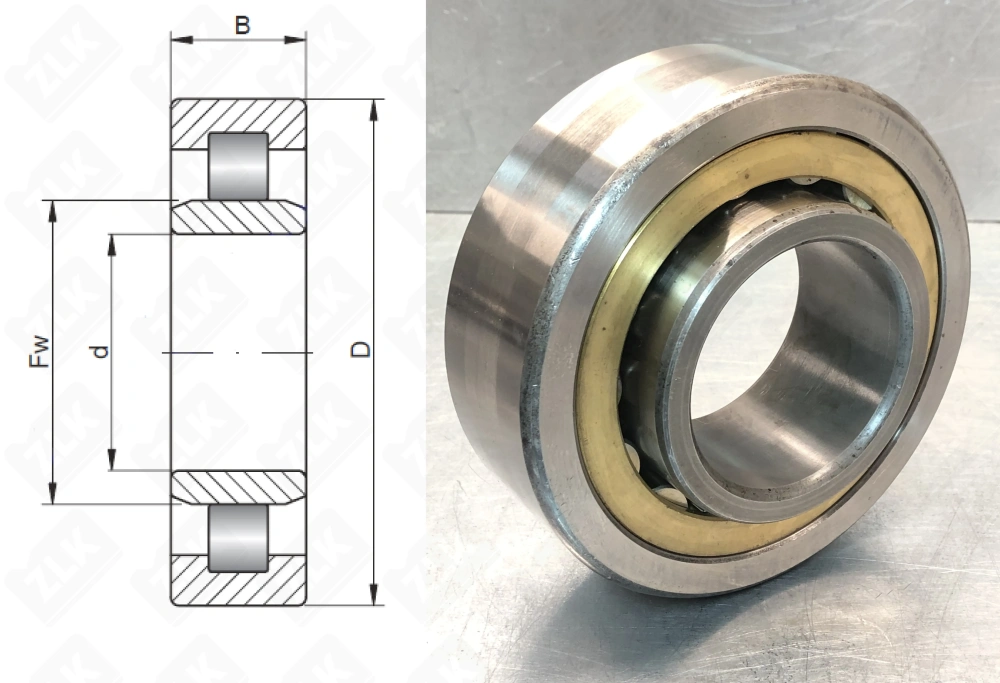 32619 Л (NU2319M) DYZV
