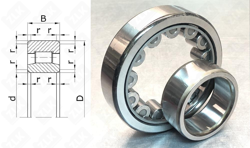 32319 Е (20) (NU319ETVP3C3) NKE