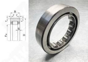 Подшипник 292205 (RNU205) радиальный роликовый 32-52-15 мм
