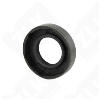22*40*10 HMSA10 RG SKF