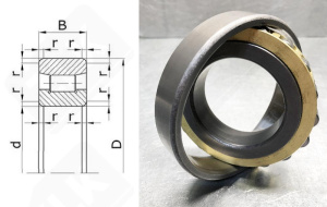 Подшипник 2311 Л (N311) радиальный роликовый 55-120-29 мм