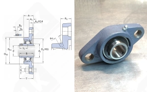 Подшипниковый узел FYTJ25TF