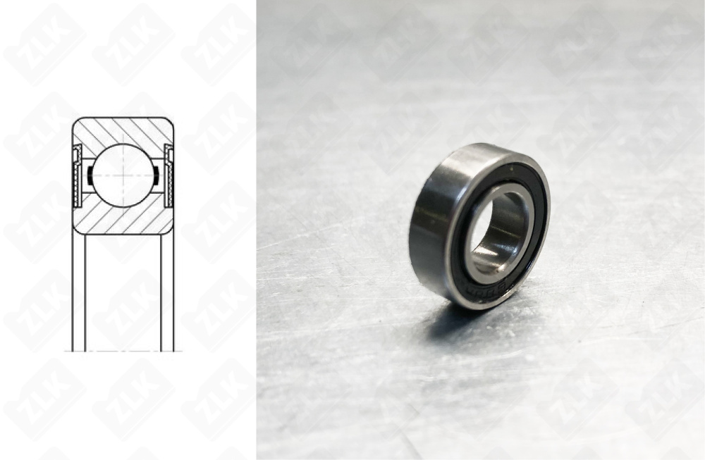 1000901 (619012RS1) SKF