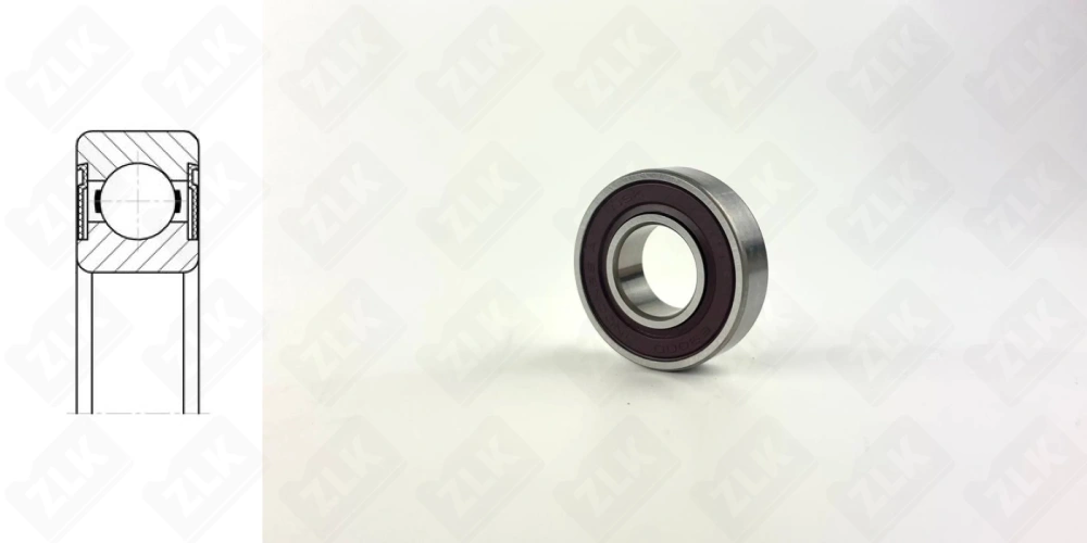 1000900 (6900DD1MC3) NSK