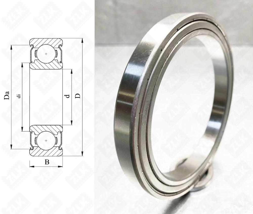 1000818 ZZ (61818ZZ,6818ZZ)