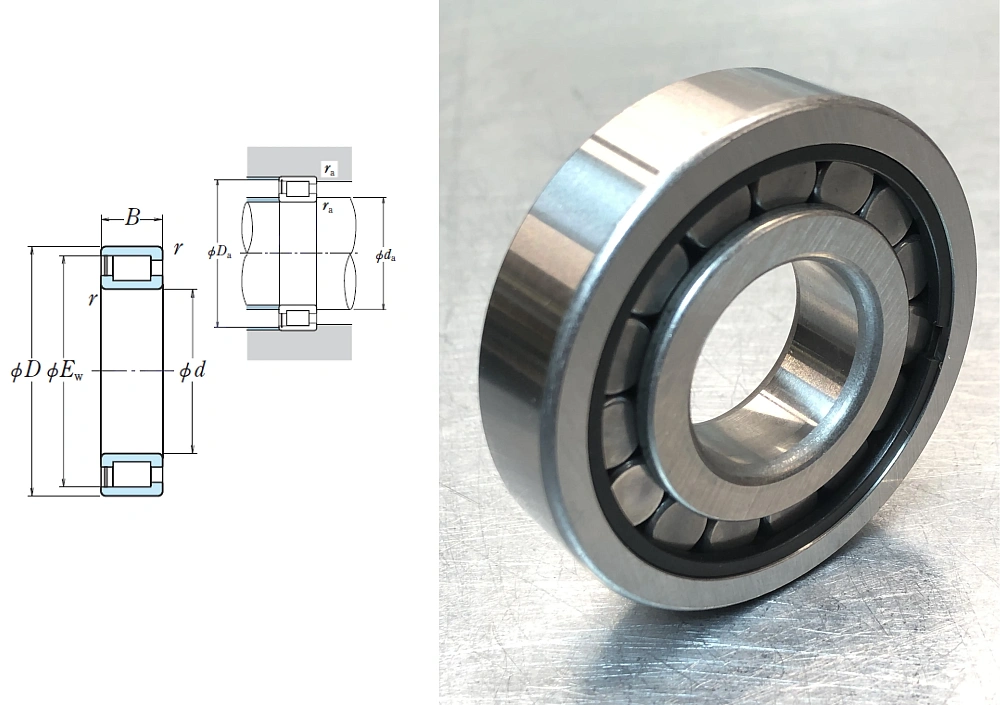 JGB6005 (SC050615,MH042068) FBJ 