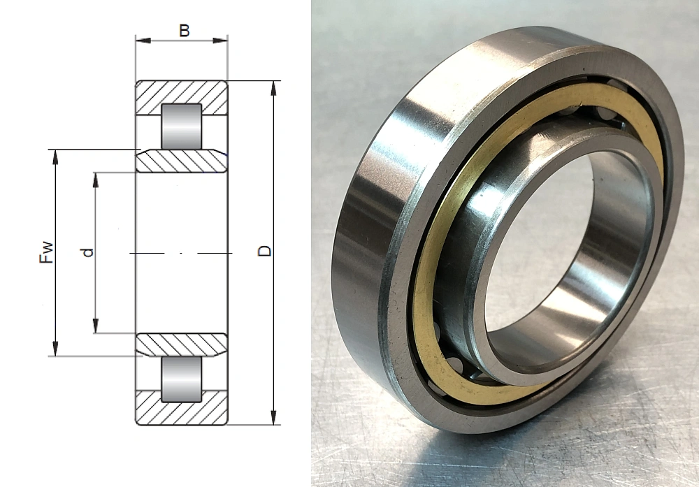32214 Л (NU214ECMA) NTL