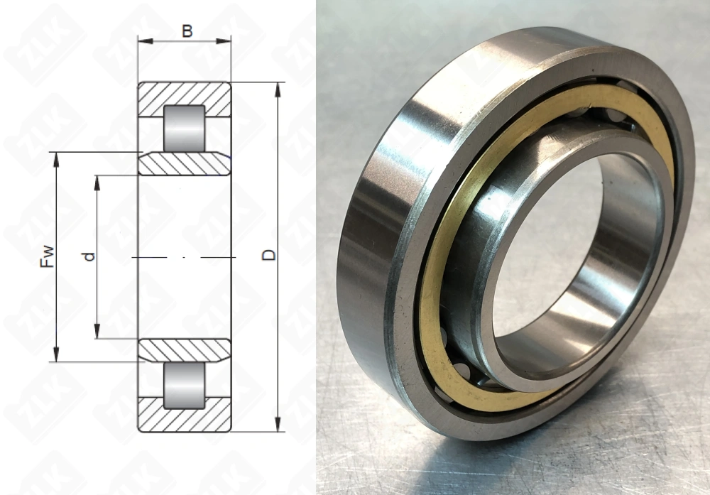32219 Л (NU219ECM) DDR