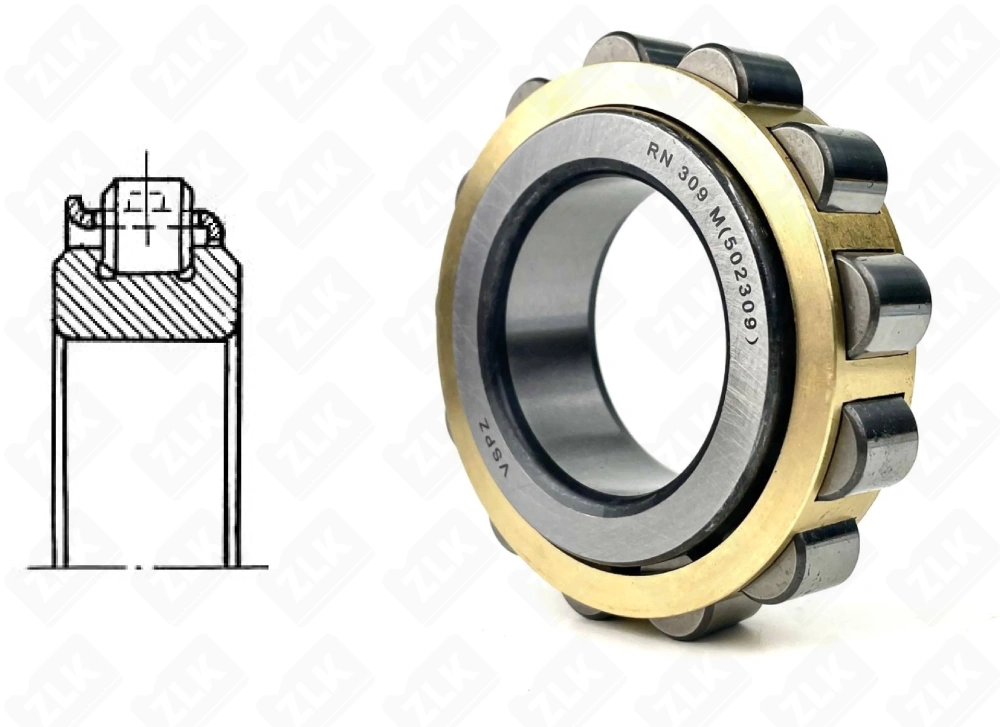 502309 Л (RN309M) VSPZ