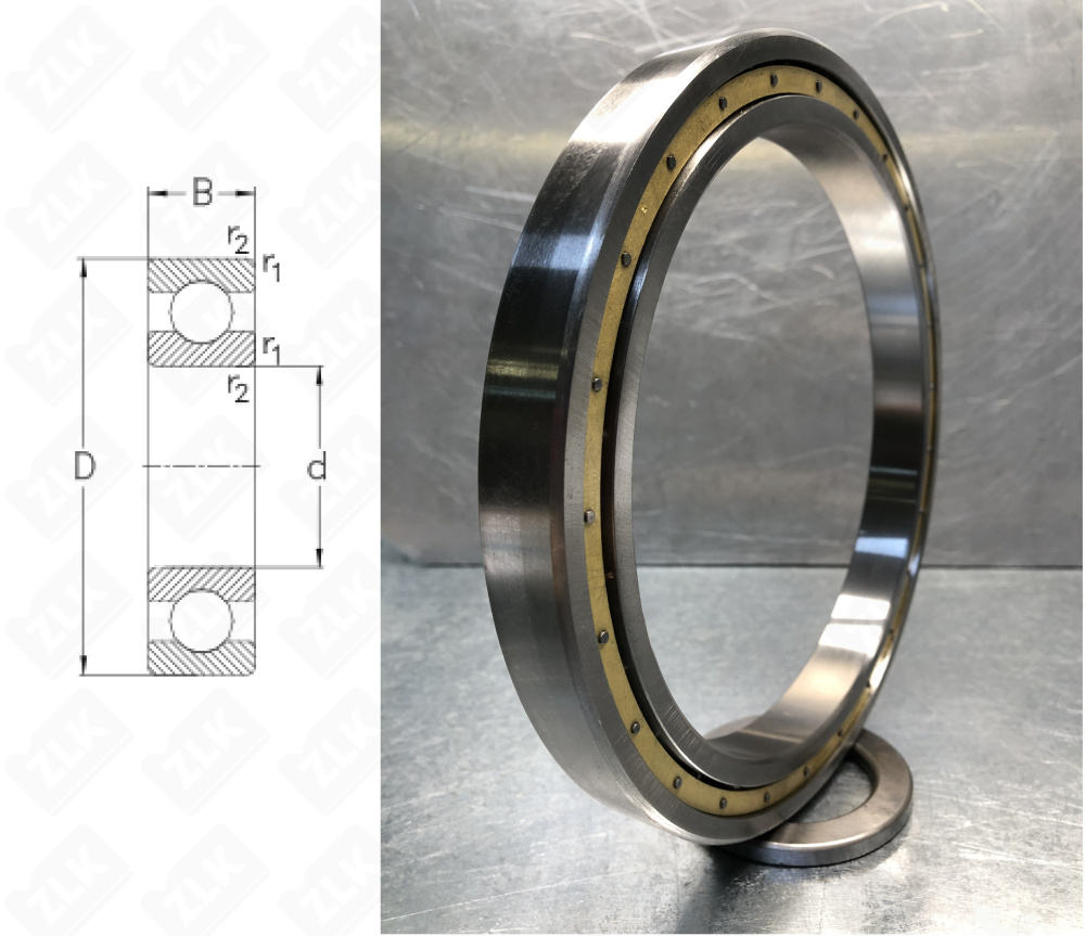 1000828 (61828,6828) NSK