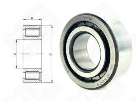 Подшипник SL183004 радиальный роликовый 20-42-16 мм