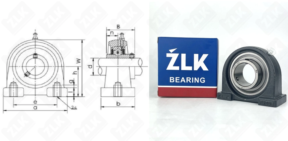 480208USPA (USPA208) ZLK