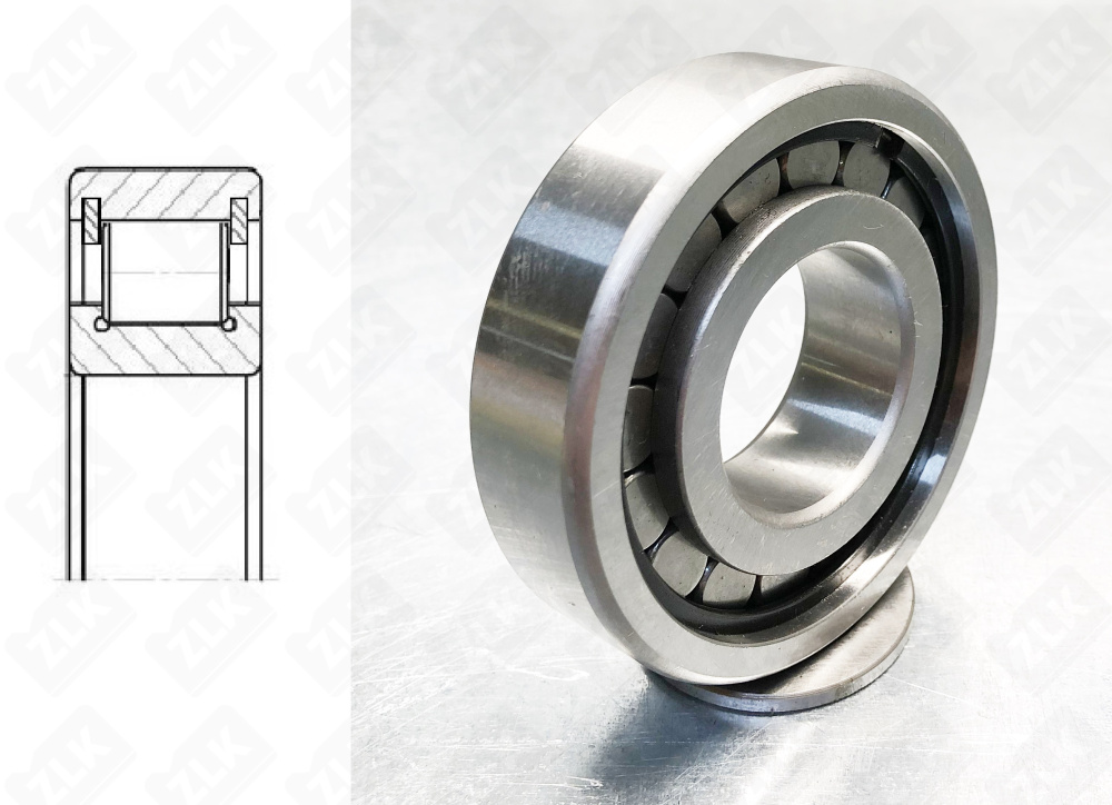 102409 (N409W,N409V) ZLK