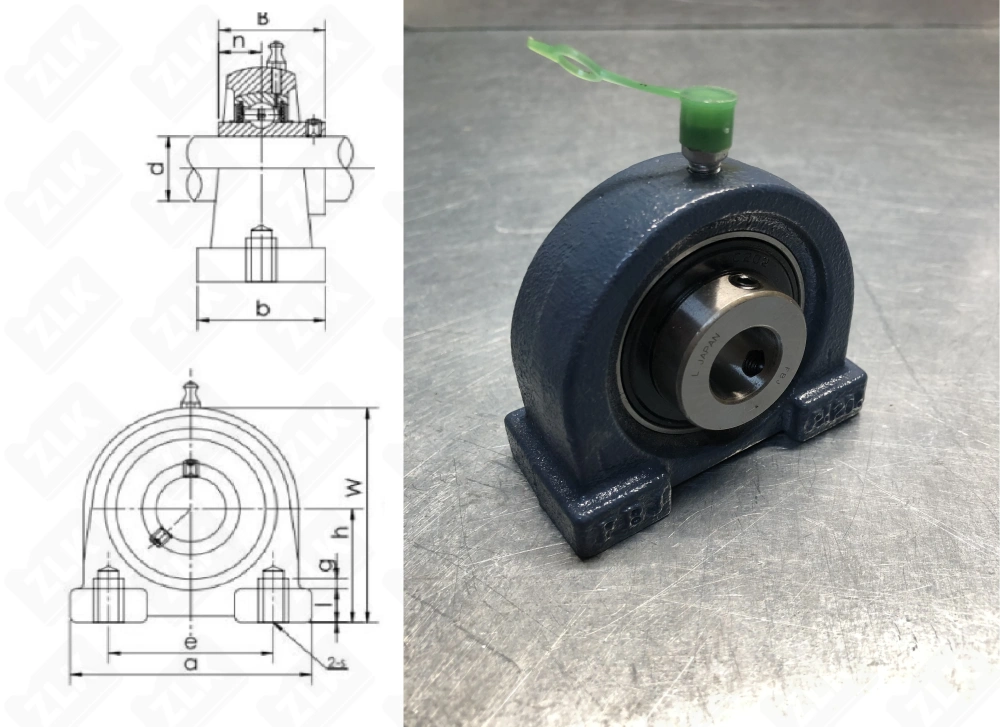 480202UCPA (UCPA202) FBJ