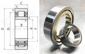 Подшипник 32311 Л (NU311ECMA) радиальный роликовый 55-120-29 мм