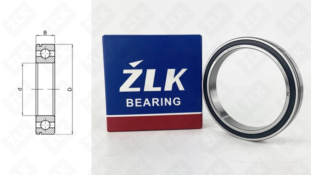 95DSF01ZA (9036395003) ZLK