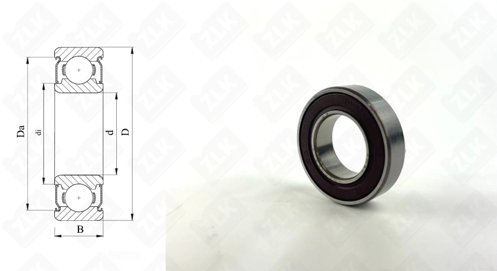 1000902 (70) (61902,6902DDC3) NSK