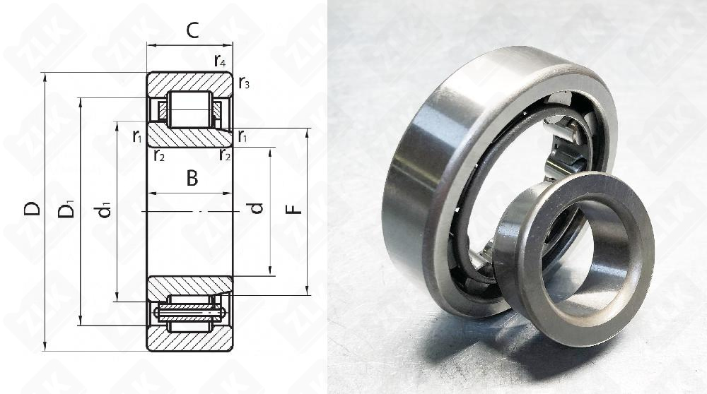 142807 Y (NJ2307ENVX3) 