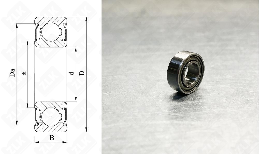 1000900 (69002ZNR) NSK